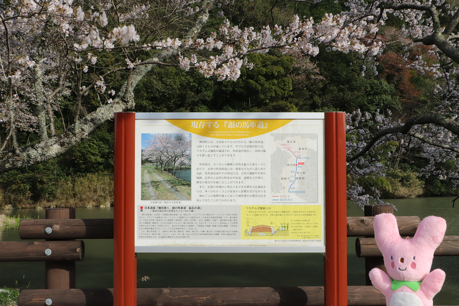 神河町の「現存する銀の馬車道」で桜が満開！ | 特集 | 日本遺産「播但 