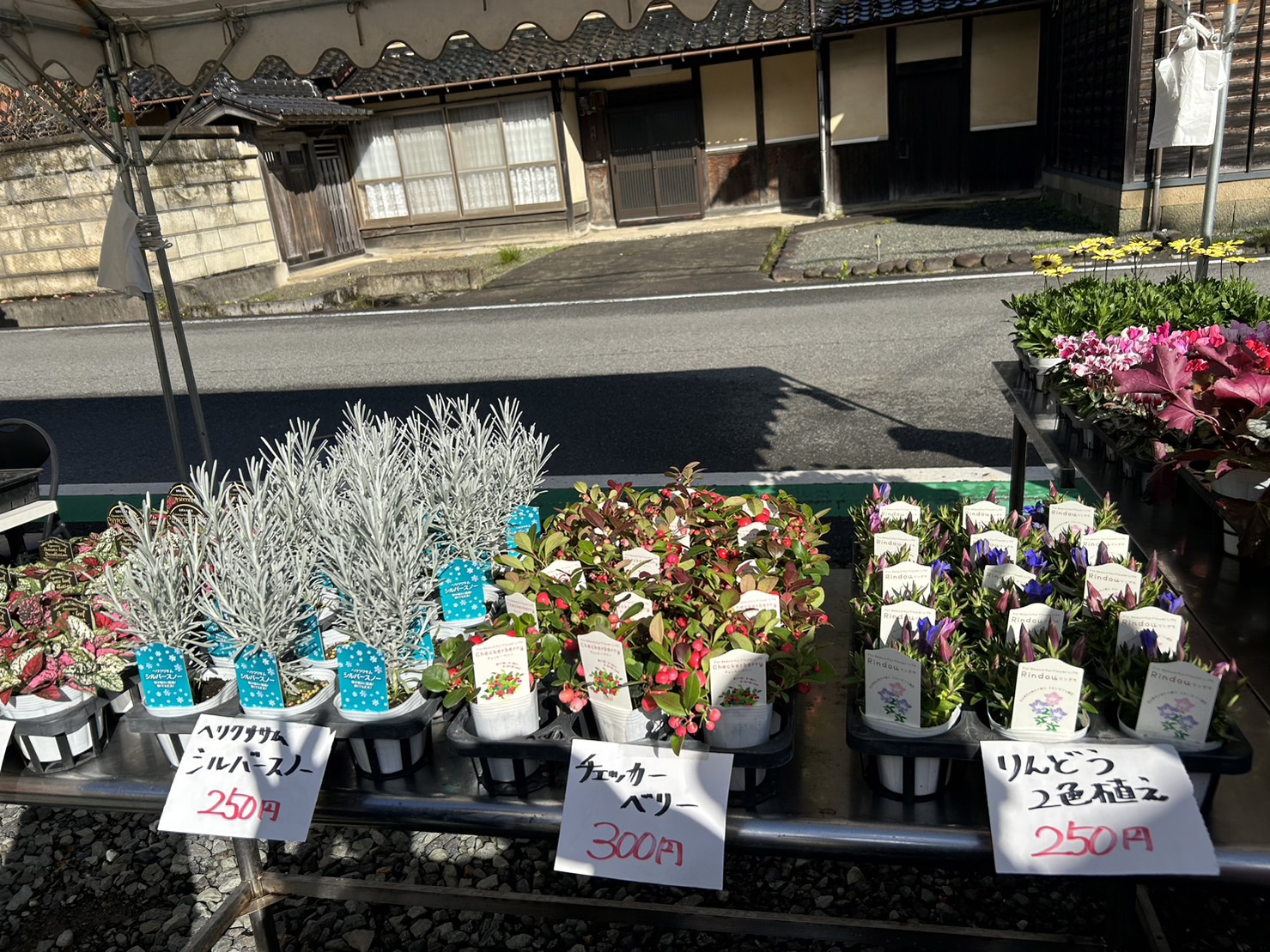 中瀬金山祭りを開催しました。 | 特集 | 日本遺産「播但貫く、銀の馬車