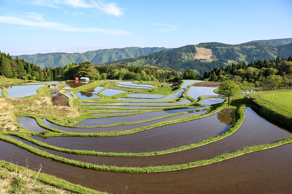 養父市の「別宮（べっくう）の棚田」に行ってきました！ | 特集 | 日本